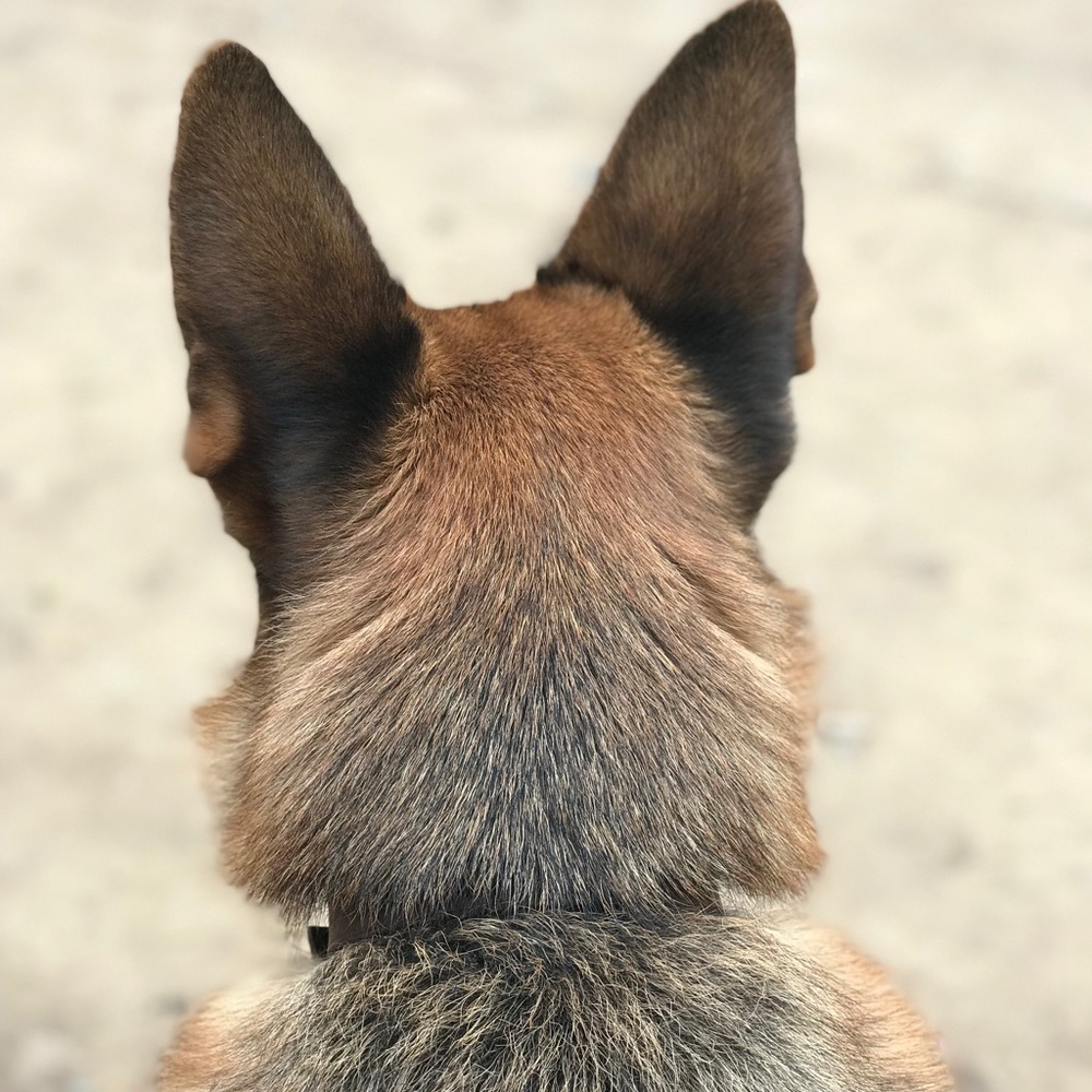 Meet your Posher, Ericka